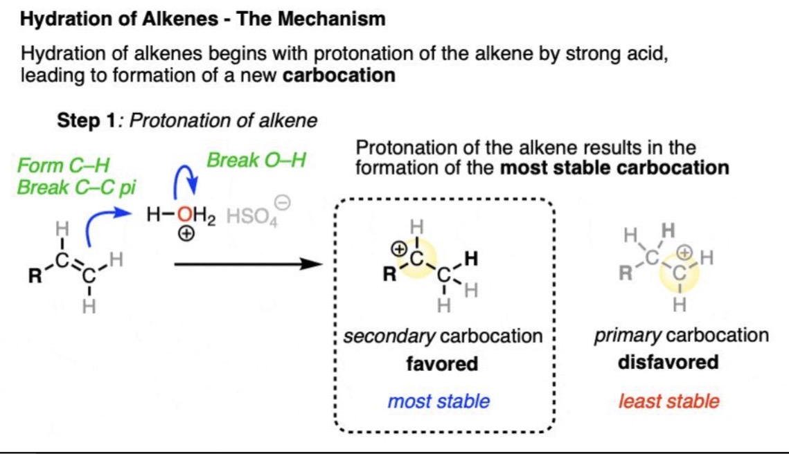 <p>Hydration reaction: <strong>Carbocation intermediate</strong> → nucleophilic attack from <span>H₂O</span> → deprotonation</p>