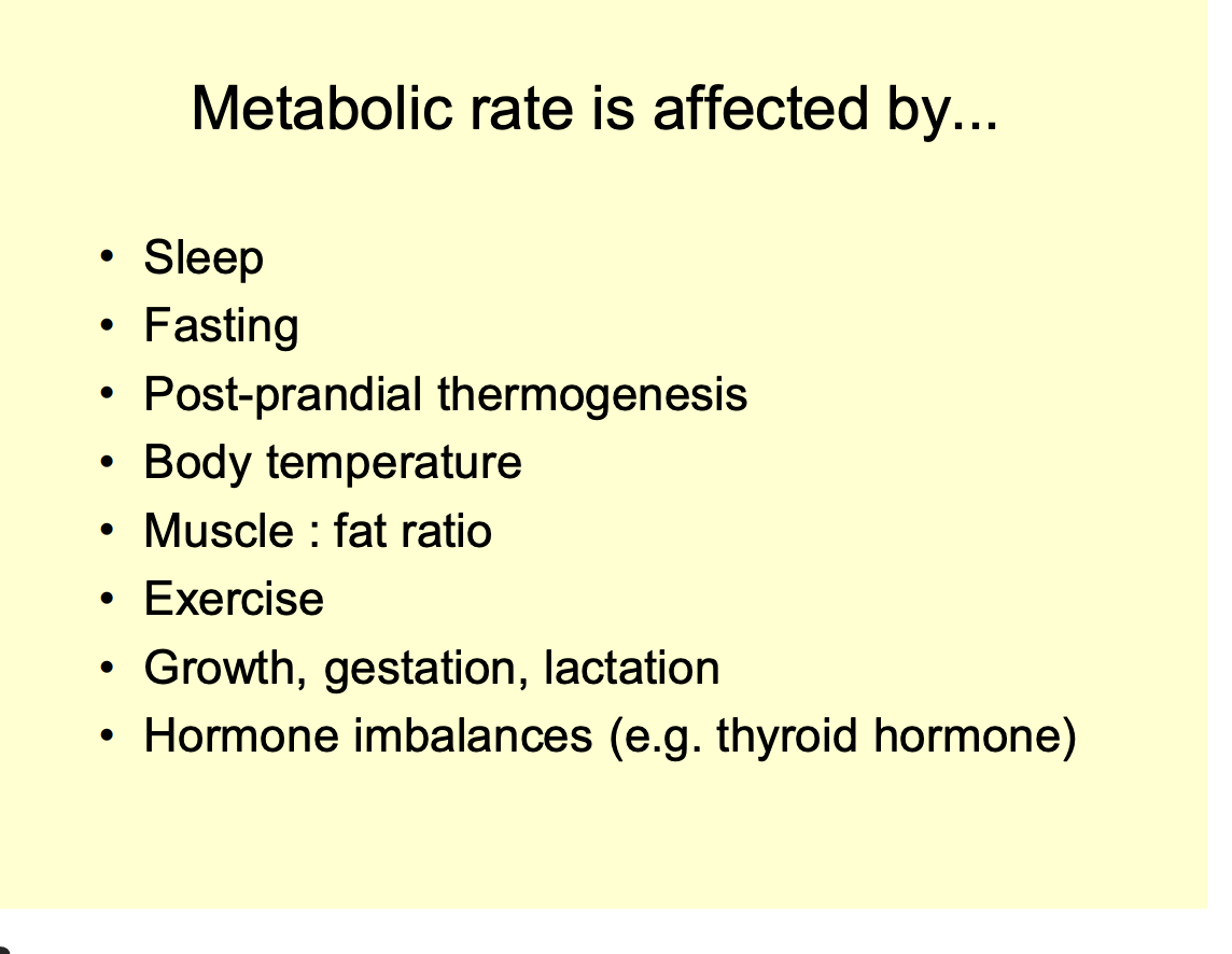 <ol><li><p>Sleep→ 10% decrease</p></li><li><p>Fasting (up to 40% decrease, due to lower thyroid hormone level)</p></li><li><p>Post-prandial thermogenesis→ up to 40% increase</p><ul><li><p>after eating</p></li><li><p>when food is processed in the liver</p></li><li><p>Nitrogen metabolism→ heat</p></li></ul></li><li><p>Temperature</p><ul><li><p>Thermoregulation demands energy</p></li><li><p>body temp itself directly affects rate of metabolic reactions</p></li></ul></li><li><p>Muscle: fat ratio</p><ul><li><p>Differs in men and women</p></li><li><p>muscle uses more energy</p></li></ul></li><li><p>Exercise</p><ul><li><p>metabolic rate can typically be increased to x10 BMR or up to 20x in trained athletes</p></li></ul></li><li><p>Growth, gestation and lactation</p></li></ol><p>Pathologies</p><ol start="8"><li><p>Hormone imbalances</p><ul><li><p>variations in levels of thyroid hormone</p></li><li><p>can alter BMR from 40-200% of normal</p></li><li><p>Growth hormone and testosterone have similar effects</p></li><li><p>hypothydroi→ ½<br>hyper→ x2</p></li></ul></li></ol><p></p>