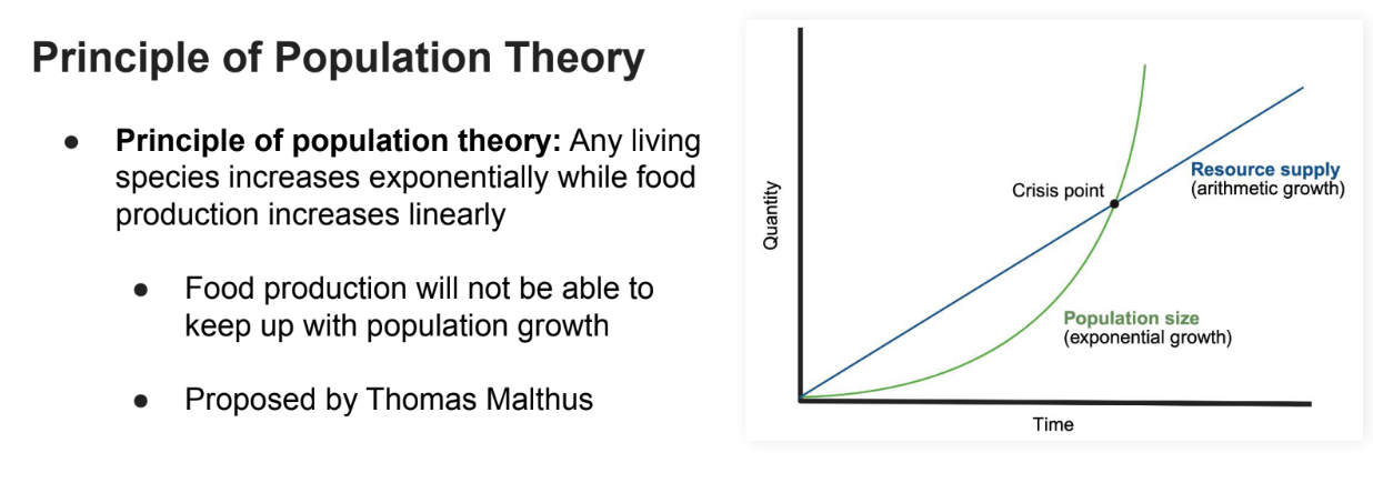 <p>Any living species increases <strong>exponentially </strong>while <strong>food production increases linearly</strong></p><ul><li><p><strong>Food production </strong>will <strong>not be able to keep up</strong> with population growth</p></li><li><p>Proposed by <strong>Thomas Malthus</strong></p></li></ul><p></p>