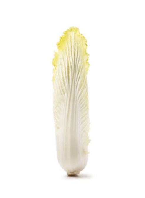 <p>Long napa</p>