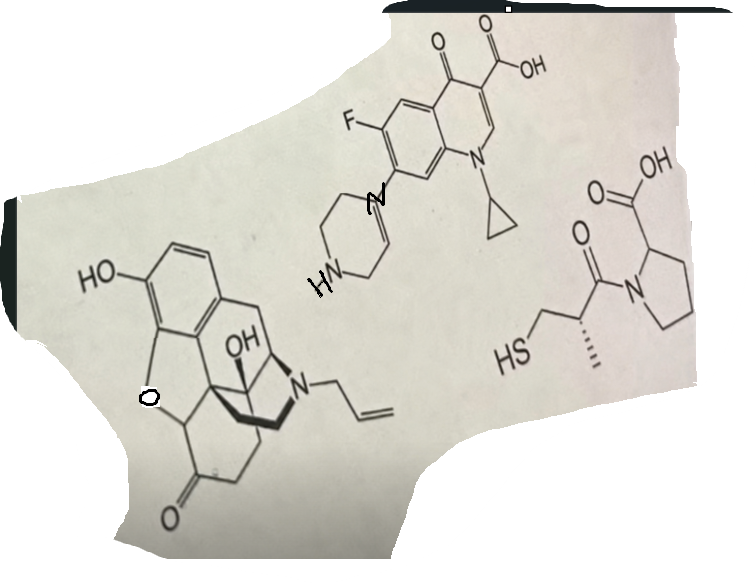 <p><strong>Circle the following groups in the molecules</strong></p><p><strong>Options:</strong><br>A. Piperazine<br>B. Allyl<br>C. Cyclopropyl<br>D. Dihydrofuran<br>E. Amide bond<br>F. Carbonyl group<br>G. Secondary amine<br>H. Thiol<br>I. Ether<br>J. Phenol</p>
