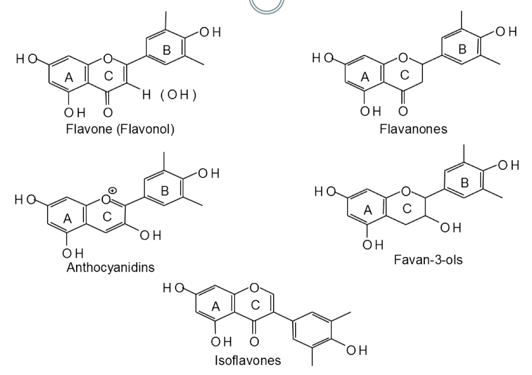 <p>Major class of plant phenolics with 3-ring structure</p><ul><li><p>Color properties are related to the conjugated systems</p><ul><li><p>Double bonds are conjugated when they are separated by one single bond (C=C-C=C)</p></li><li><p>Color is only present when the C ring is conjugated with both the A and B rings</p></li></ul></li><li><p>Classes:</p><ul><li><p>Flavonols</p></li><li><p>Isoflavones</p></li><li><p>Flavan-3-ols</p></li><li><p>Flavonones</p></li><li><p>Anthocyanidins</p></li></ul></li><li><p></p></li></ul><p></p>