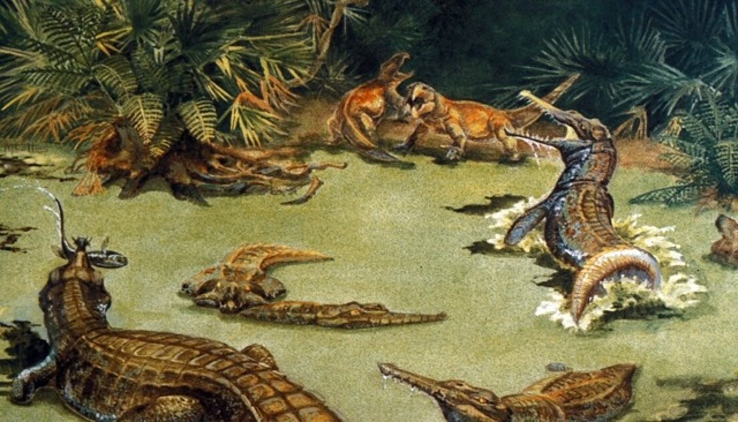 <p>During the Triassic ~230 million years ago, also the first mammals</p>