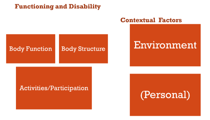 <p>this diagram shows what model</p>