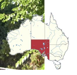 <p>South Australia</p>