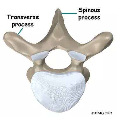 <p>What is the white circular section?</p>