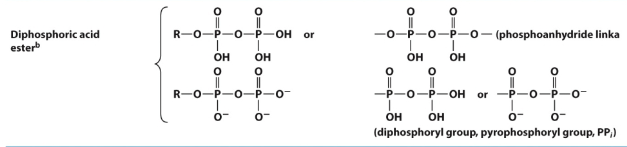 <p>Functional Group: phosphoanhydride linkage.</p><p>Functional Group: diphosphoryl group, pyrophosphoryl group, PPi). </p>
