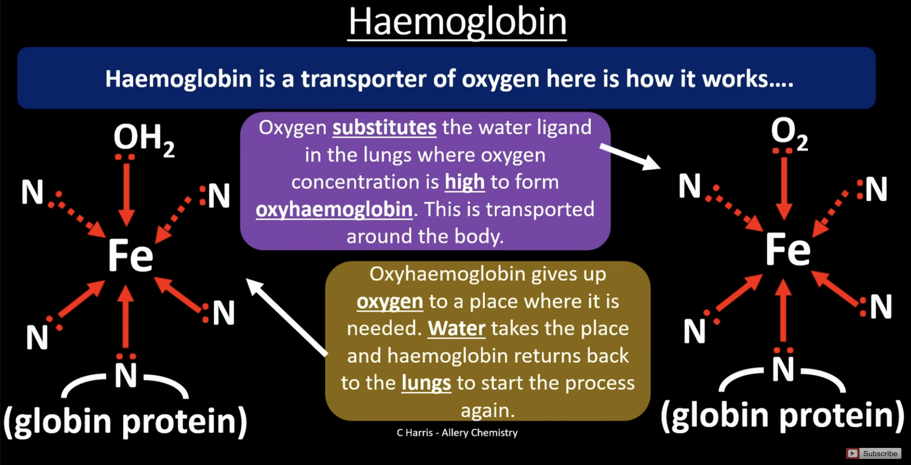 <p>is an octahedral shape </p><p>haem is a multi dentate ligand found in haemoglobin, the 4 nitogens bound to Fe come from the haem group (the circle). the 5th nitrogen comes from the globin protein </p><p>in the lungs when oxygen concentration is high, oxygen substitutes the water ligand and is transported around the body, forming oxyhaemoglobin. the oxygen is removed where its needed in the body and is replaced by water again. the haemoglobin returns to the lungs and process repeats </p>