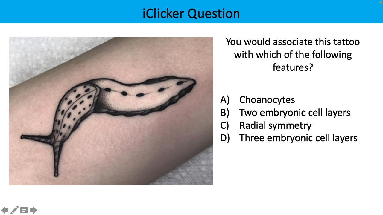 <p>You would associate this tattoo with which of the following features?</p>