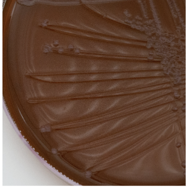 <p>EMB agar</p>