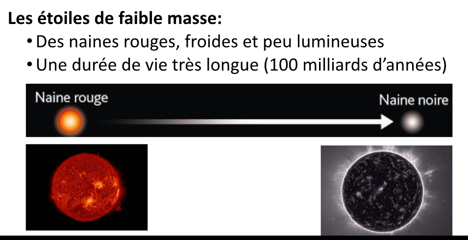<ul><li><p>Des naines rouges, froides et peu lumineuses</p></li><li><p>Une durée de vie très longue (100 milliards d’années)</p></li></ul><p></p>