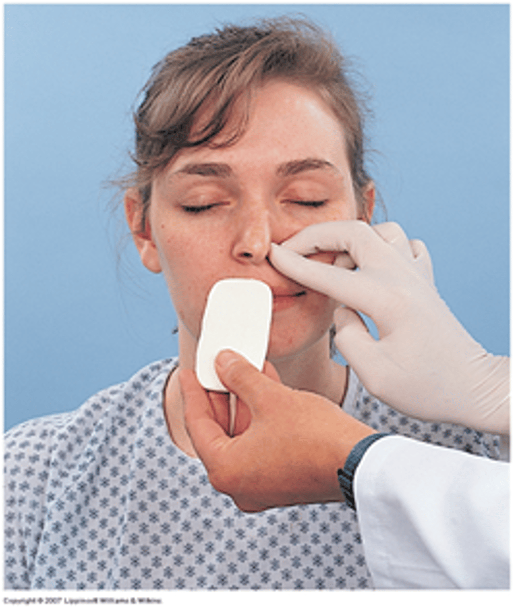 <p>What test uses smell to test nostril adaptation</p>