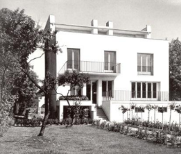 term image