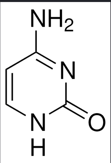 <p>-Pyrimidine</p><p>-Has an Amino Group</p><p>-Found in both DNA and RNA</p><p>-No methyl group </p><p>-Double bounded N within ring </p>