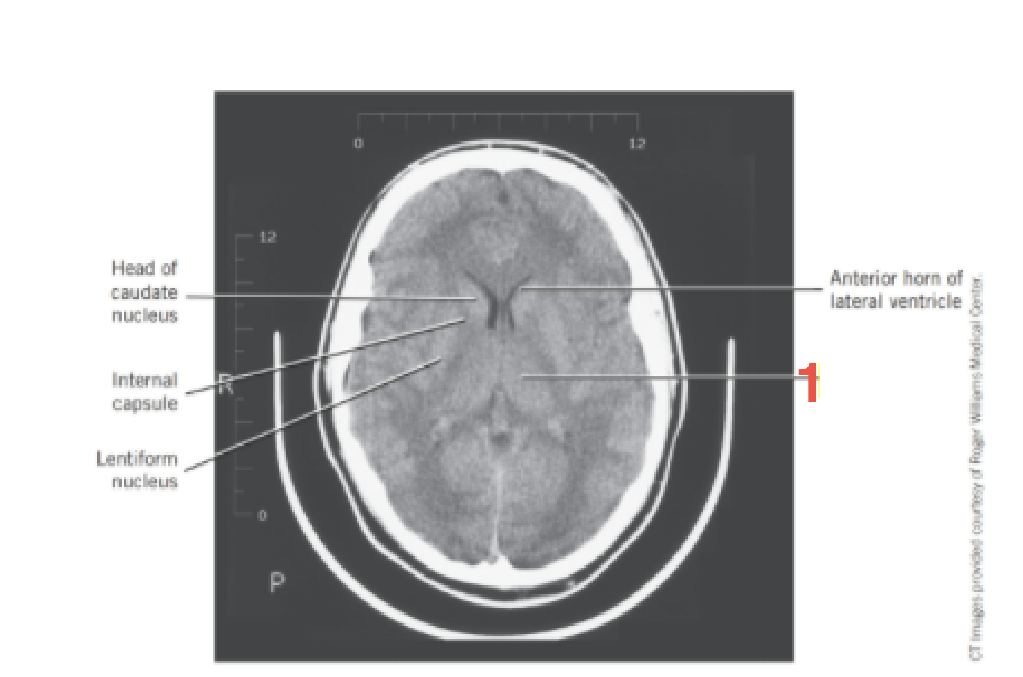 <p>1</p>