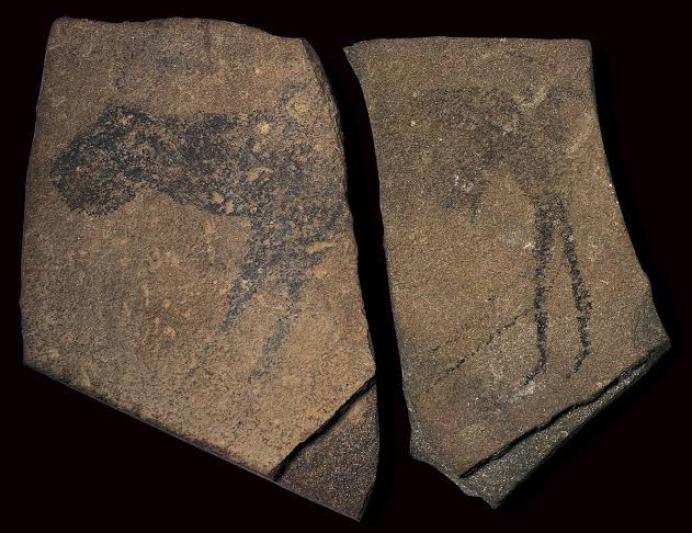 <p>Apollo 11 stones</p>