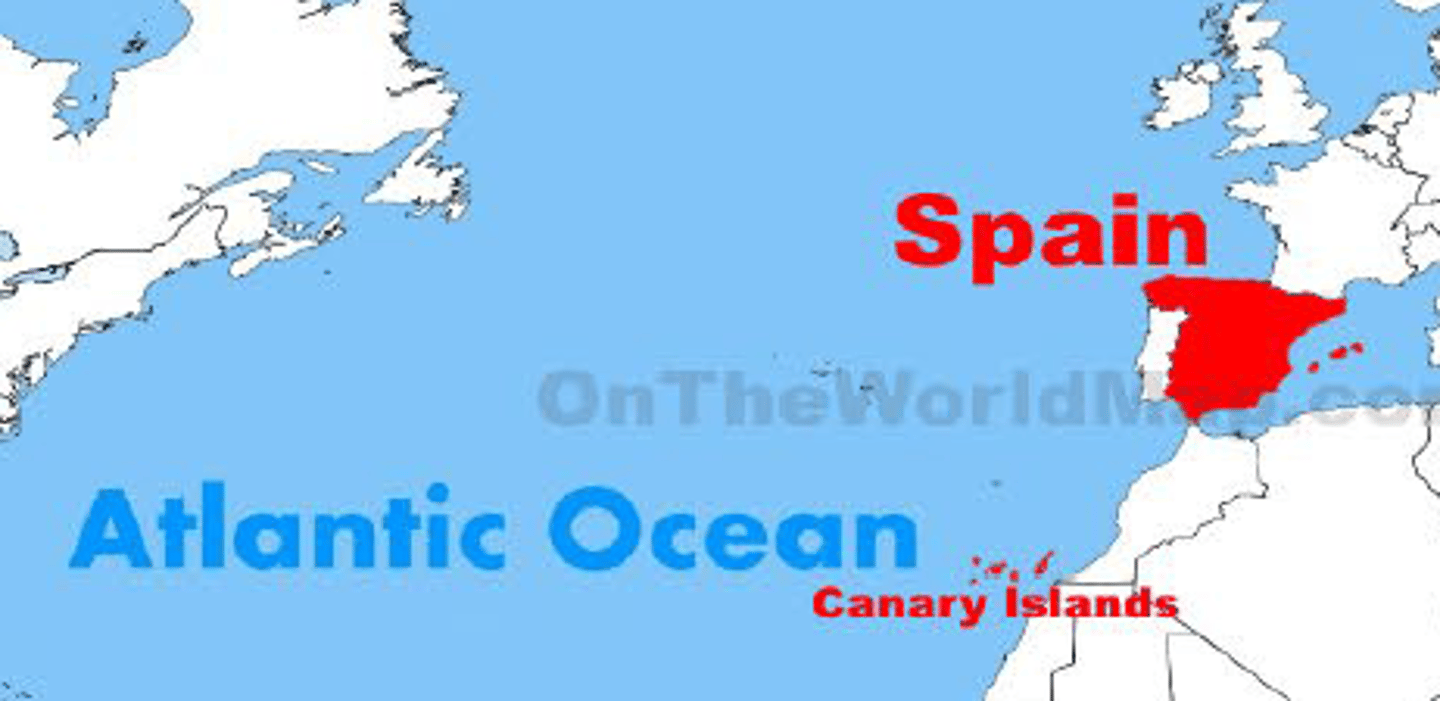<p>Where are you from? I am from Spain</p>