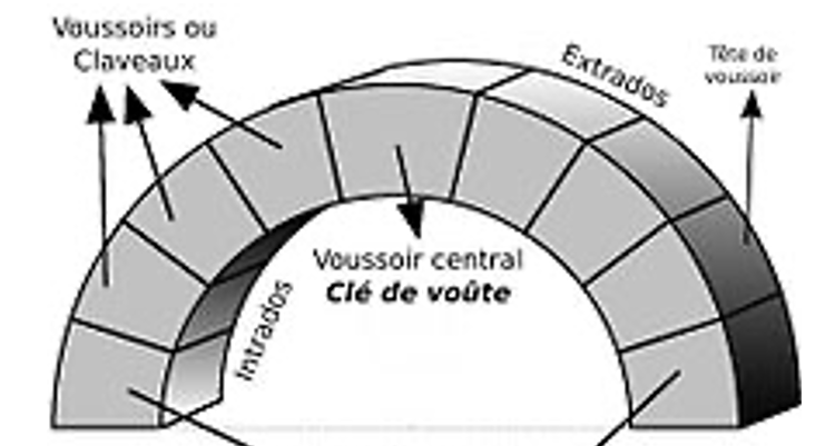 <p>un <strong>organe clavé</strong>, cad composé de <strong>claveaux</strong> ; il s’en distingue par <strong>sa forme courbe</strong> et non rectiligne.</p><p><u>les claveaux de l’arc peuvent être aussi appelés des </u><strong><u>voussoirs</u></strong>.</p><p><span><strong>L’arc est parfois surélevé : </strong>l’arc ne repose pas directement sur le support ou le piédroit du mur, mais sur un élément intermédiaire qui surélève l’arc et donne plus de hauteur à la travée.</span></p>
