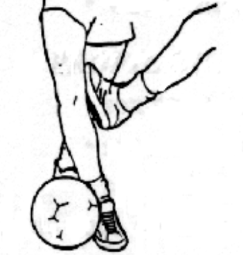 <p>medial to lateral force</p>