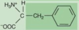 <p>A neutral, nonpolar amino acid with the three-letter abbreviation Phe and single-letter code F.</p>