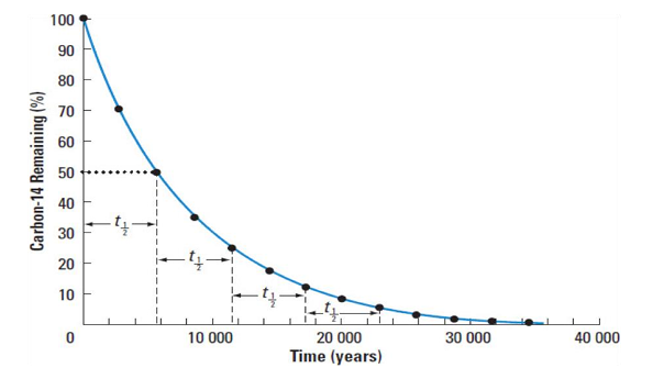<ul><li><p>The time required for a substance to decay to half its initial size</p></li><li><p>Graphically, its trend line is mathematical exponential decay</p></li></ul><p></p>