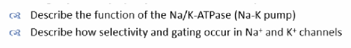 <p>(1) Describe the function of the Na/K-ATPase (Na-K pump). (2) Describe how selectivity and gating occur in Na+ and K+ channels.</p>