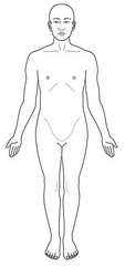 <p>upright, feet parallel, eyes and palms forward</p>