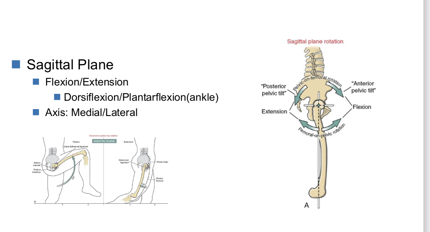 <p><strong>Flexion/Extension </strong></p><ul><li><p>dorsiflexion/plantarflexion (ankle)</p></li></ul><p></p><p><strong>Axis: </strong>Medial/lateral aka horizontal </p><p></p><p></p>