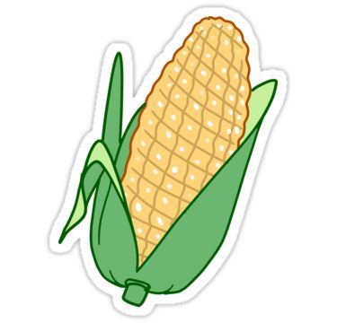 <p>Corn</p>