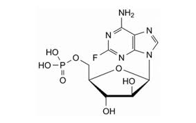 <p>fludarabinefosfaat</p>