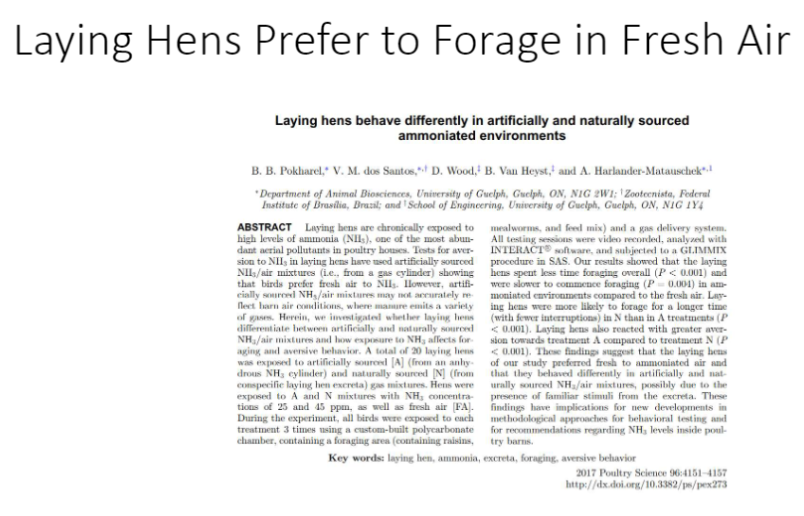 <p><strong>Observation</strong><br>āHens show a strong preference for <strong>foraging outdoors</strong> rather than staying inside</p><p><strong>Benefits</strong><br>āAccess to <strong>fresh air</strong>, natural <strong>food sources</strong> (plants, insects, worms), and space for <strong>locomotion and body maintenance</strong></p><p><strong>Key Point</strong><br>āProviding <strong>outdoor access</strong> supports <strong>natural behaviors</strong> and improves <strong>welfare</strong></p>