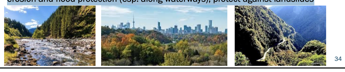 <ul><li><p>ecosystem service</p></li><li><p>Forests improve air quality, </p></li><li><p>can have a cooling effect in urban areas</p><ul><li><p>offset heat island effect</p></li></ul></li><li><p>offer soil erosion and flood protection (esp. along waterways), protect against landslides</p></li></ul><p></p>