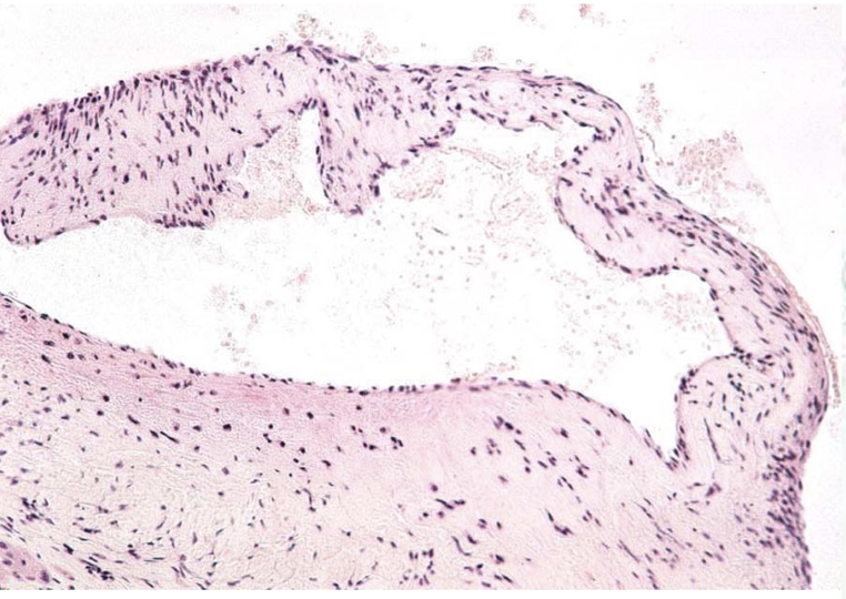 <p>What system is this? And what are its features?</p>