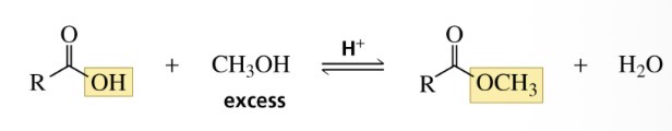 <p>An ester</p>