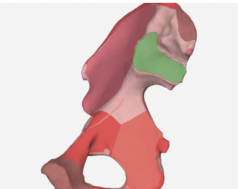 term image