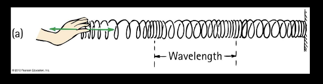 <p>logitudinal wave</p>