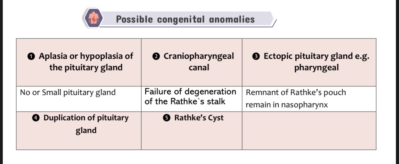 <p><span>The congenital anomalies of the pituitary gland include:</span></p><ol><li><p><span><strong>Aplasia or hypoplasia of the pituitary gland</strong></span></p><ul><li><p><span>Due to defective development of the pituitary gland.</span></p></li><li><p><span>Results in absence (aplasia) or small size (hypoplasia) of the gland.</span></p></li></ul></li><li><p><span><strong>Craniopharyngeal canal</strong></span></p><ul><li><p><span>Occurs due to failure of degeneration of Rathke’s stalk.</span></p></li></ul></li><li><p><span><strong>Ectopic (pharyngeal) pituitary gland</strong></span></p><ul><li><p><span>Caused by persistence of remnants of Rathke’s pouch in the nasopharynx.</span></p></li></ul></li><li><p><span><strong>Duplication of the pituitary gland</strong></span></p><ul><li><p><span>A rare congenital anomaly characterized by the presence of two pituitary glands.</span></p></li></ul></li><li><p><span><strong>Rathke’s cyst</strong></span></p><ul><li><p><span>Results from persistence and cystic enlargement of remnants of Rathke’s pouch.</span></p></li></ul></li></ol><p></p>