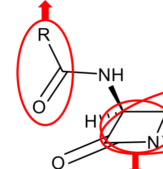 <p>Acyl connected amino (which is also attached to the beta-lactam ring:</p>