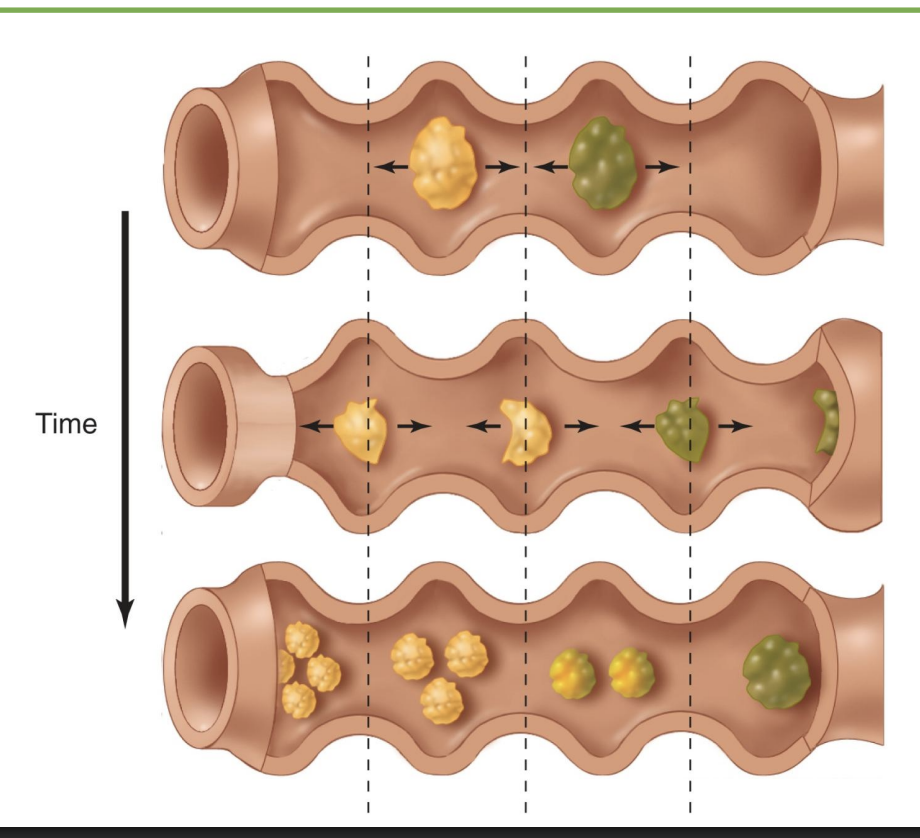 <p>-coordinated contraction from myenteric plexus</p><p>-mix stuff</p>
