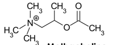 <p>[DRUGS FOR PARASYMPATHETIC SYSTEM]<br>a. Carbachol</p><p>b. Bethanechol</p><p>c. Methacholine</p>