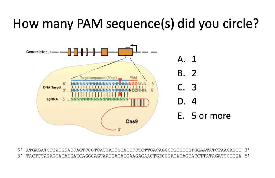 <p>Question</p>