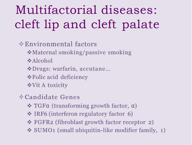 <p>Folic acids needed to develop nucleotides </p>