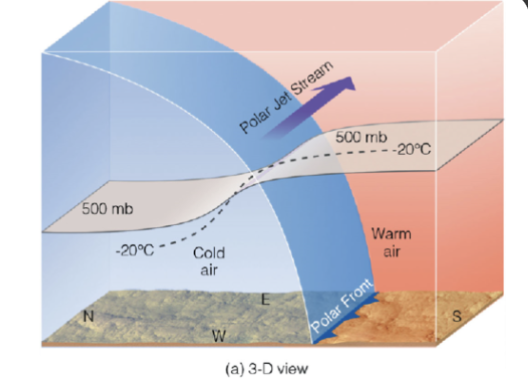 <p>The greatest contrast in air temperature occurs along the _____ zone</p>