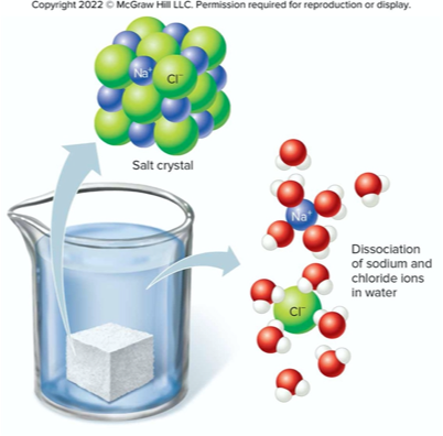 <p><span>The charged ions separate and are attracted to the polar water molecules, causing the substance to dissociate. </span></p><ul><li><p><span>The cations and anions become surrounded by water molecules.</span></p></li></ul><p></p>