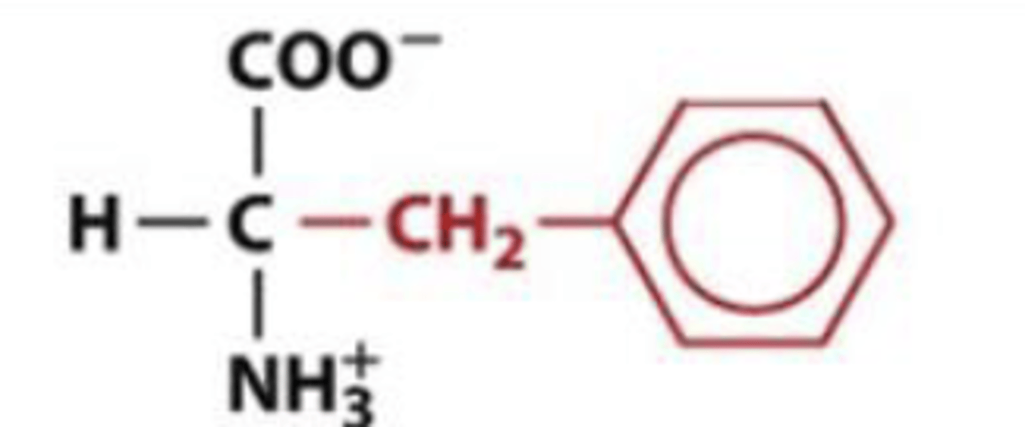 <p>Phe, F, aromatic</p>