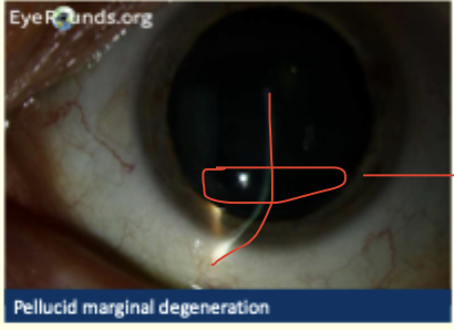 <p>Describe and diagnosis </p>