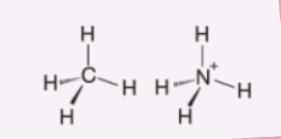 <ul><li><p>AX4E0</p></li><li><p>zero lone pairs</p></li><li><p>sp3 hybridized </p></li><li><p>109.5 degrees</p></li><li><p>example: NH4+, CH4</p></li></ul><p></p>