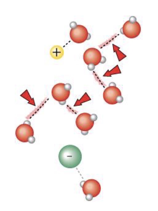<ul><li><p>the average kinetic energy of water must increase</p></li><li><p>Heat absorbed must be great enough to break the hydrogen bonds and increase the molecules kinetic energy</p></li></ul><p></p>