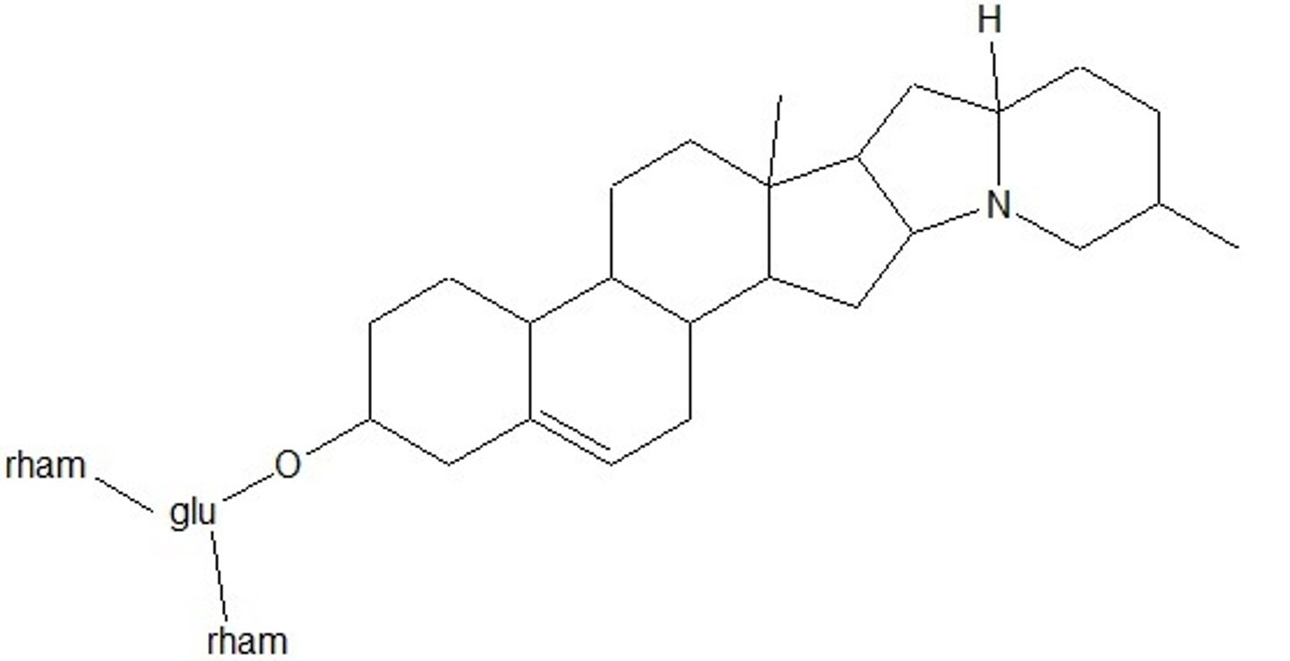 <p>this was the best image I could add using free quizlet. Both of these molecules basically have an indolizidine ring, steroid molecule, and then three monosacchardies connected with glycosidic linkages</p>