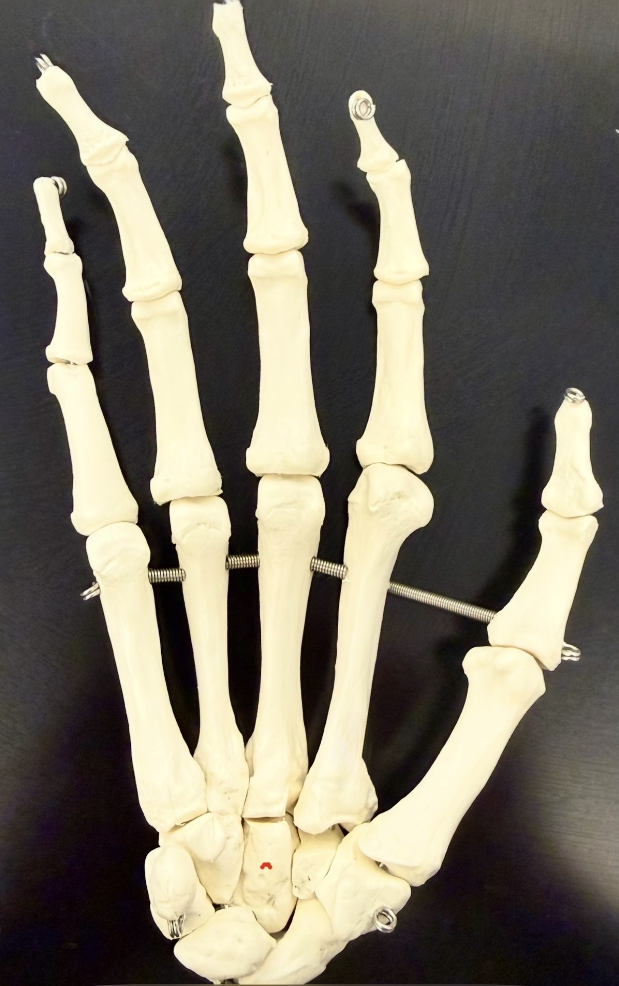 knowt flashcard image
